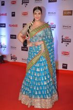 Ankita Shorey at Filmfare Awards 2016 on 15th Jan 2016